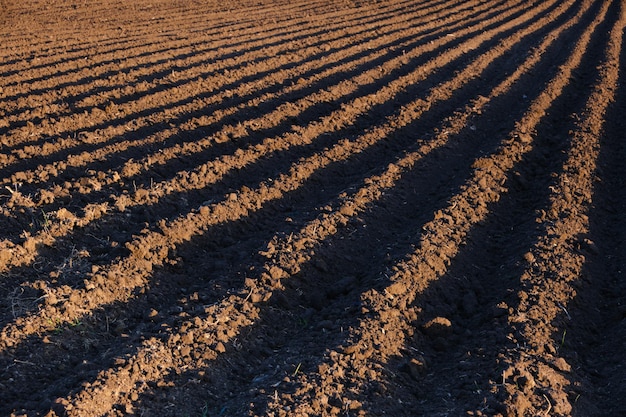 Foto tempo di campo appena arato e seminato per la semina