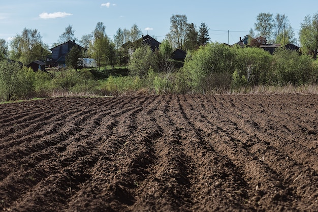 Фото Свежие вспаханные грядки с овощами весной