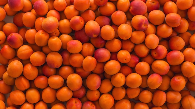 Photo freshly ripe apricots