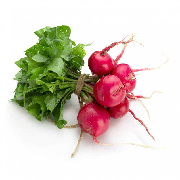 Freshly ripe radishes isolated on white background.