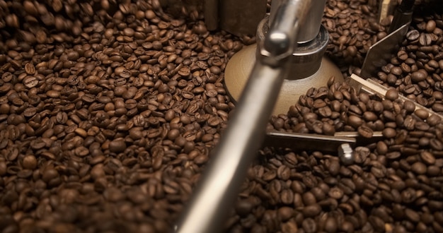 Photo freshly roasted arabica coffee beans falling into a spinning cooler professional machine