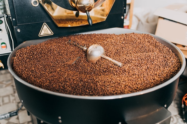 Freshly roasted aromatic coffee beans over a modern coffee roasting machine.