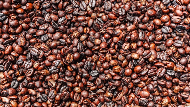 Freshly roasted coffee beans background and texture roasted coffee beans