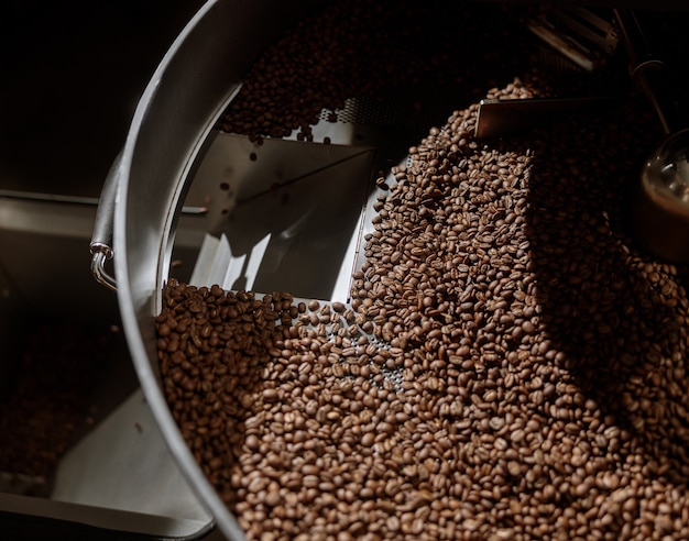 Chicchi di caffè appena tostati nel vassoio di raffreddamento