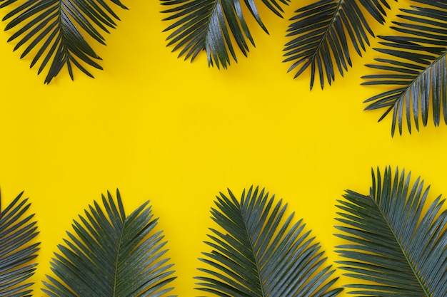 Freshness green leaves of wild palm on yellow paper