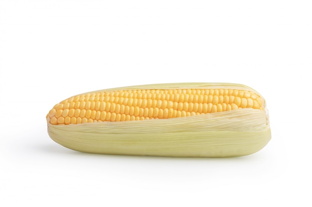 Freshness raw corn isolated