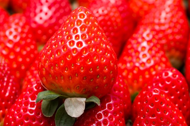 FreshStrawberries