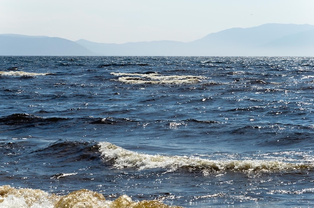 Freshwater lake Waves on the surface Sunny weather