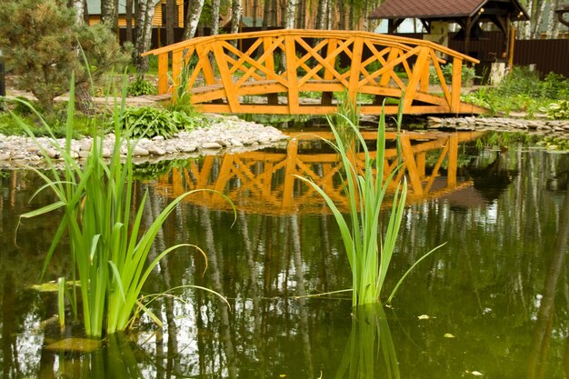 Freshwater marsh with bridge