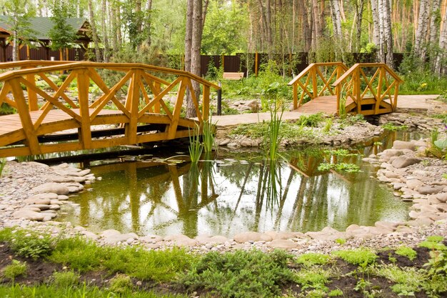 Freshwater marsh with bridges