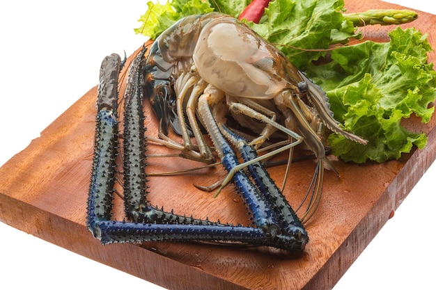 Freshwater prawn