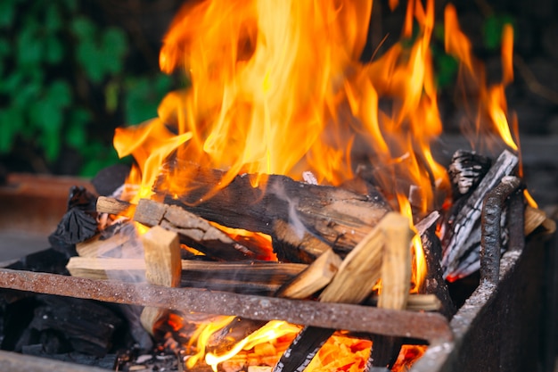 Frewood brandende vlammen bij de ijzergrill met groen gras