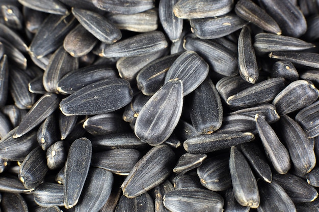 Fried black sunflowers seeds, close up.