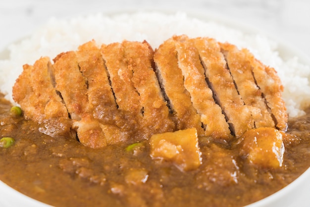fried cutlet pork with curry on rice