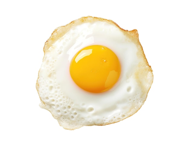 fried egg isolated