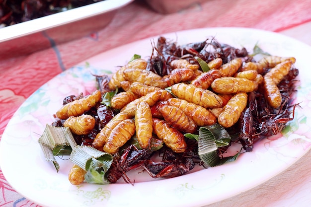 Insetto fritto al cibo di strada