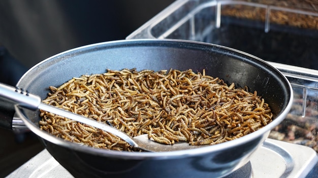 Fried mealworms at street food market
