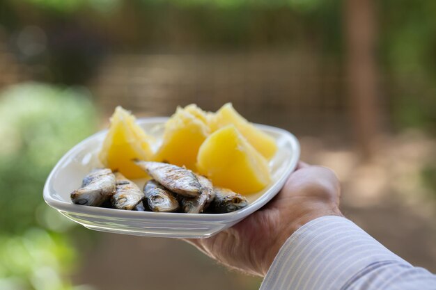 Fried sardines with boiled potato on white dish