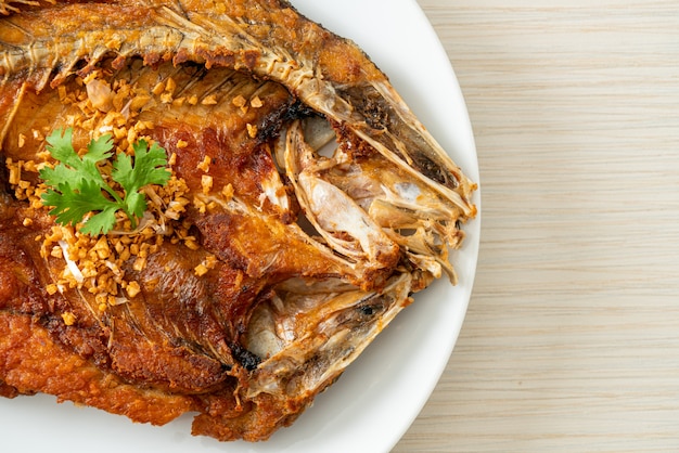 Fried Sea Bass Fish with Garlic on plate