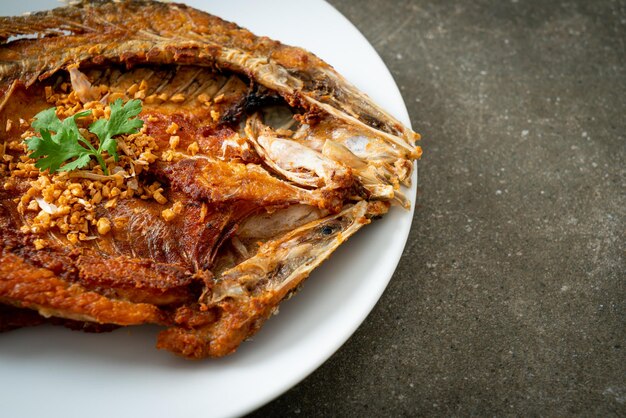 Fried Sea Bass Fish with Garlic on plate