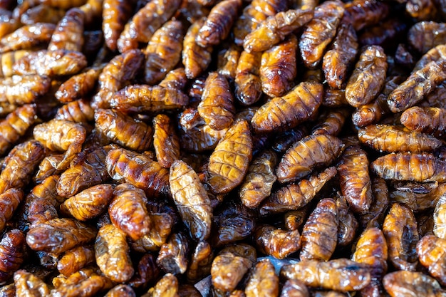 Fried silk worms delicious in street food in Thailand Close up