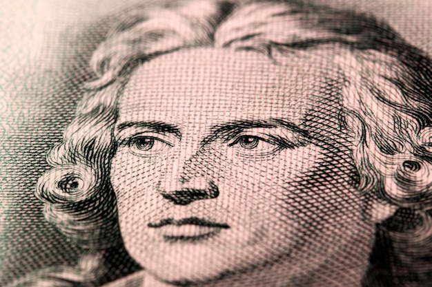 Photo friedrich von schiller a closeup portrait from old german money mark