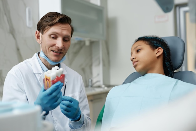 Friendly dentist holding tooth model while consulting child