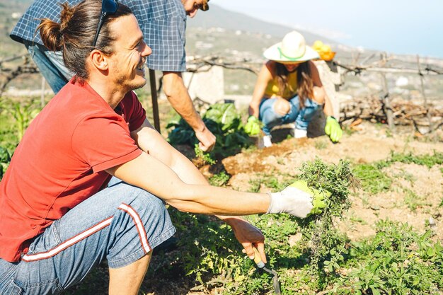 Foto amici che coltivano verdure in una fattoria durante una giornata di sole