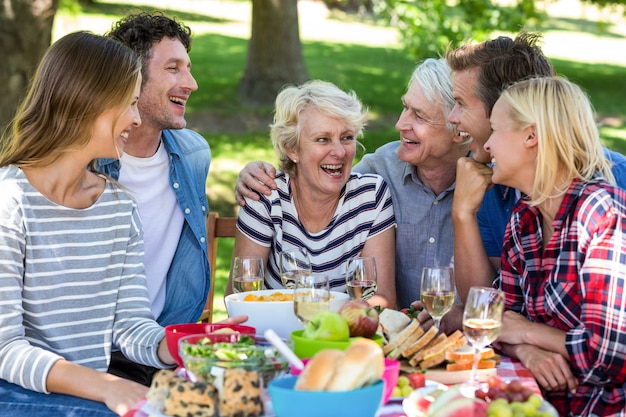 Friends having a picnic