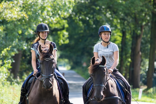 写真 公園で馬に乗っている間友達が目をそらしている