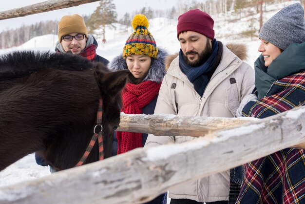 Friends Looking at Horses in Ranch