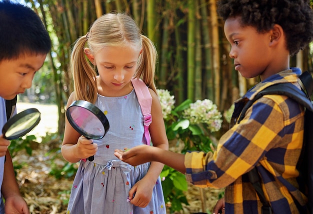 Friends nature or children at summer camp magnifying glass or growth outdoor speaking or ideas Knowledge young kids with plants outside or discover with fun natural or adventure for bonding