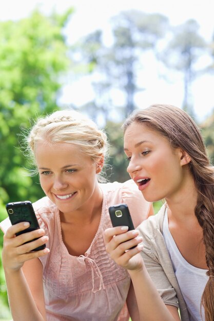 Friends in the park with their cellphones