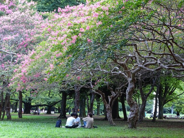 公園のフィールドに座っている友達