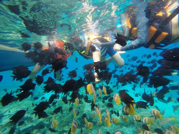 Foto amici che fanno snorkeling tra i pesci in mare