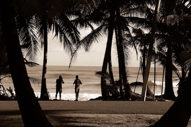 Friends standing amidst palm trees at beach