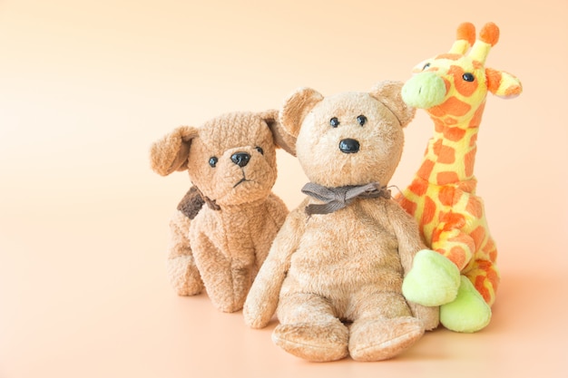 friendship -cute animals friend are holding in one's arms	