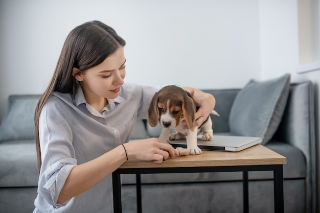 友情。かわいいビーグル犬と若い女性の写真