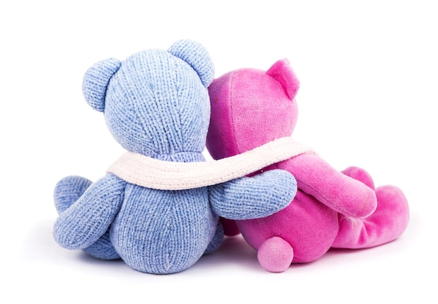 Friendship two teddy bears blue and pink