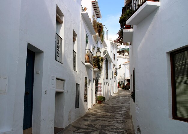 Photo frigiliana