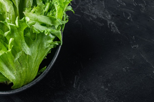 Frillis lettuce leaves, on black background  with copy space for text