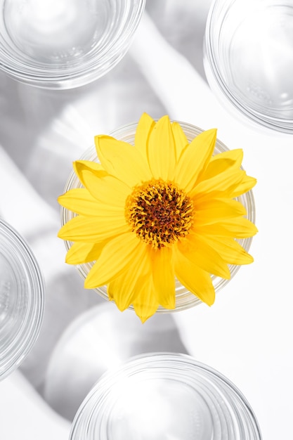 Fris helder water drinken met gele bloem in glas op wit oppervlak, hard licht creatieve compositie, bovenaanzicht