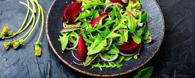 Frisse gezonde salade van paardenbloem, zuring en rode biet