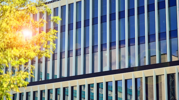 Frisse groene bomen en kantoorgebouw bedrijfsconcept Eco-gebouw in modern stadsconcept