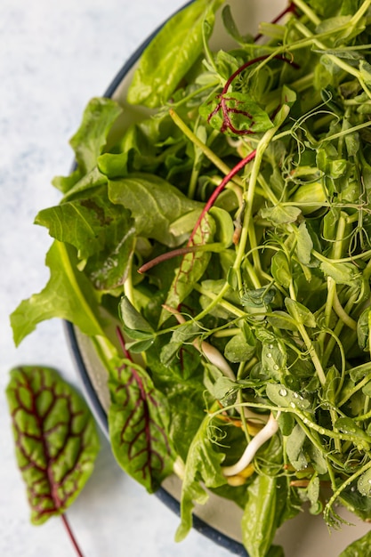 Frisse groene gemengde salade met microgreens met waterdruppels Gezonde voeding