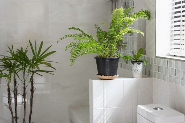 Frisse groene varenplantdecoratie in modern toilet of badkamer