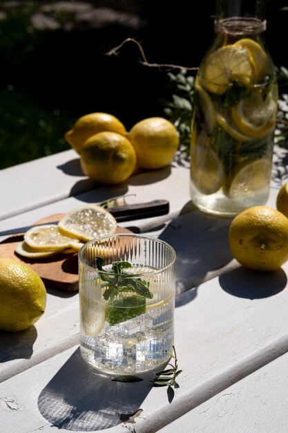 Frisse ijskoude citruslimonade gemaakt van citroen en munt caloriearme suikervrije zomerlimonade natuurlijk bereide limonade foto genomen met natuurlijk licht