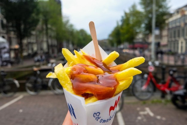 Frites or French fries with curry sauce in Amsterdam Netherlands September 2017