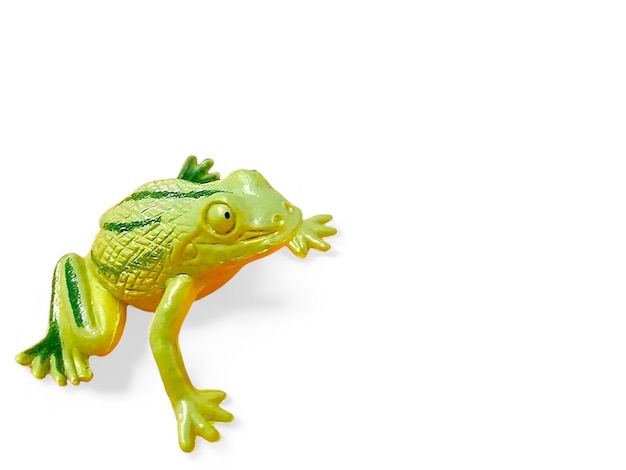 A frog miniature has stripe on back with white background