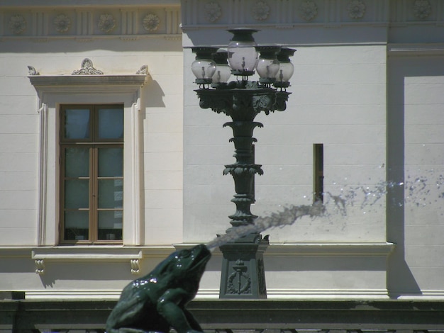 Photo frog shaped fountain